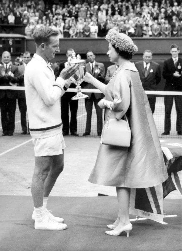 庐的新星 庐的新星